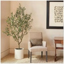 Artificial Olive Tree In French Crock Pot 2M - RnR Galore