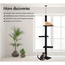 CARLA HOME Floor to Ceiling Cat Tree Tower with Adjustable Height 230 - 286cm for Indoor Cats (Black) - RnR Galore
