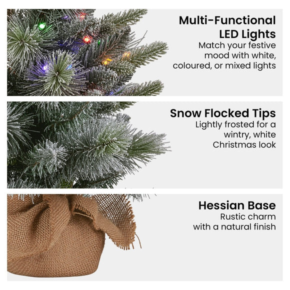 Christabelle 61cm Pre - Lit Snowy Stamford Spruce Battery - Operated Mini Christmas Tree Multi - Functional LED Timer - RnR Galore