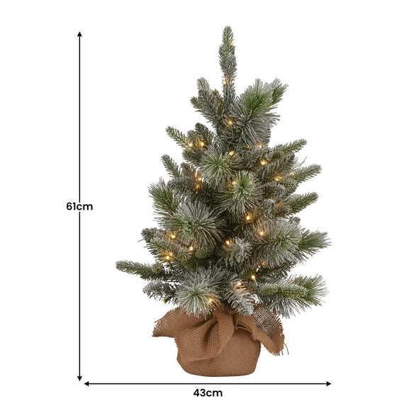 Christabelle 61cm Pre - Lit Snowy Stamford Spruce Battery - Operated Mini Christmas Tree Multi - Functional LED Timer - RnR Galore