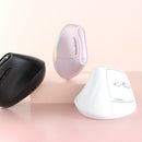 Ergonomic Vertical Mouse - Multi - Device Bluetooth5.0 & 2.4G Wireless, Adjustable DPI, Silent Click(pale pinkish gray) - RnR Galore
