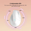 Ergonomic Vertical Mouse - Multi - Device Bluetooth5.0 & 2.4G Wireless, Adjustable DPI, Silent Click(white) - RnR Galore