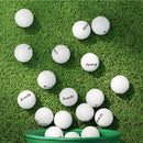 Everfit 24pcs Golf Ball Set Reusable Distance Golf Balls Practice Training - RnR Galore