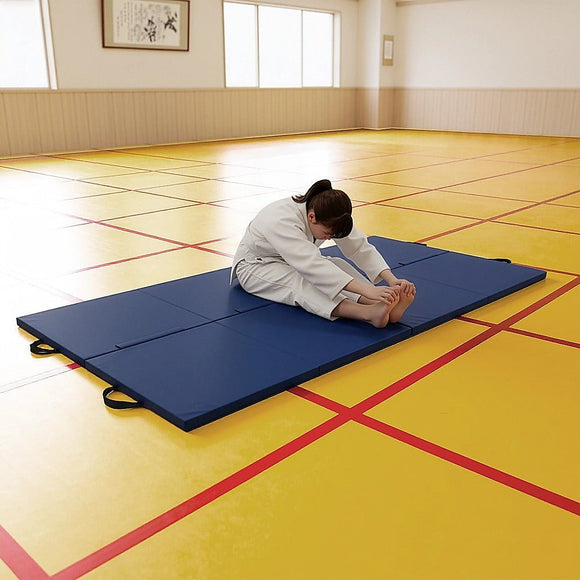 Folding Blue Exercise Mat – Gymnastics, Martial Arts, Yoga, Karate & Judo Training - RnR Galore