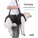 Green Pet Support Harness for Senior and Disabled Dogs - Adjustable Chest and Back Support Leash(Size L) - RnR Galore
