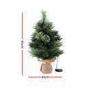 Jingle Jollys Tabletop Christmas Tree 60CM 8 Light Modes Timer Function - RnR Galore