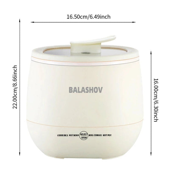 NNEOBA 1.8L Multifunctional Electric Mini Rice Cooker - RnR Galore