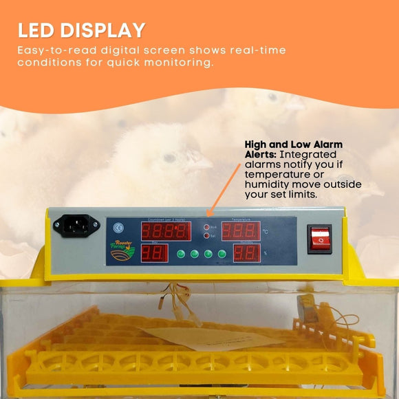 Rooster Farms Electric 112 Egg Incubator + Accessories for Chicken Quail Duck - RnR Galore
