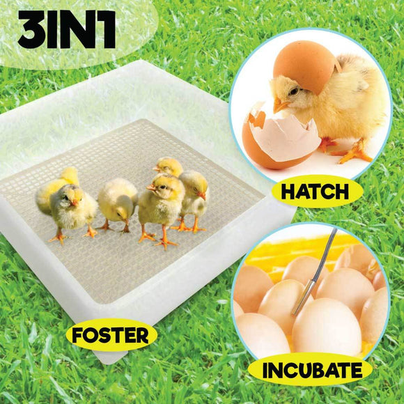 Rooster Farms Electric 112 Egg Incubator + Accessories for Chicken Quail Duck - RnR Galore