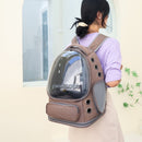 Spacious Pet Carrier with Ventilation System & Water - Resistant Design(black) - RnR Galore
