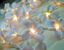 1 Set of 20 LED White Frangipani Flower Battery String Lights Christmas Gift Home Wedding Beach Party Decoration Outdoor Table Centrepiece - RnR Galore