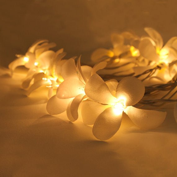1 Set of 20 LED White Frangipani Flower Battery String Lights Christmas Gift Home Wedding Beach Party Decoration Outdoor Table Centrepiece - RnR Galore