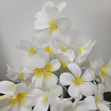 1 Set of 20 LED White Frangipani Flower Battery String Lights Christmas Gift Home Wedding Beach Party Decoration Outdoor Table Centrepiece - RnR Galore