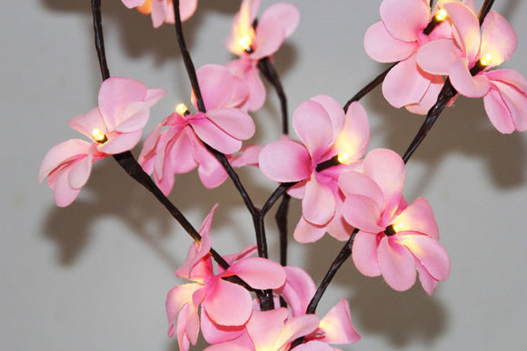 1 Set of 50cm H 20 LED Pink Frangipani Tree Branch Stem Fairy Light Wedding Event Party Function Table Vase Centrepiece Decoration Girl Bedroom - RnR Galore