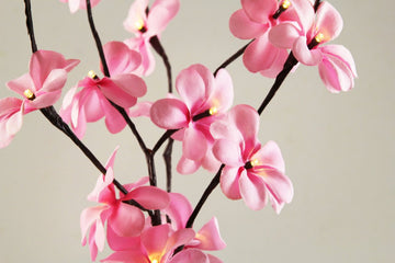 1 Set of 50cm H 20 LED Pink Frangipani Tree Branch Stem Fairy Light Wedding Event Party Function Table Vase Centrepiece Decoration Girl Bedroom - RnR Galore