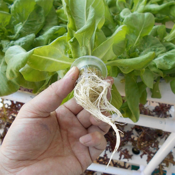 108 Plant Sites Hydroponic Grow Tool Kit Vegetable Garden Hydroponic Grow System - RnR Galore