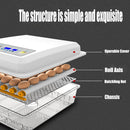 16 egg incubator fully automatic digital thermostat chicken eggs poultry - RnR Galore