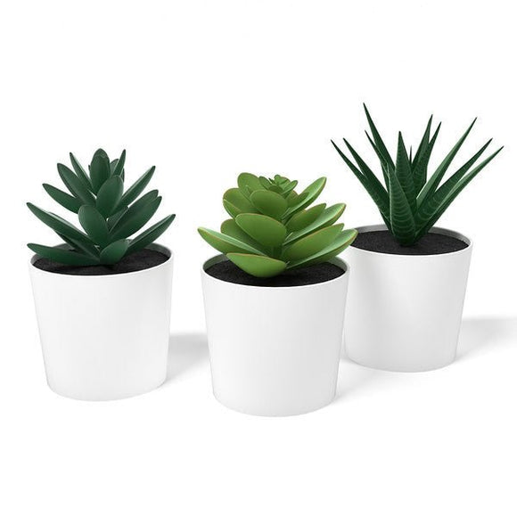 3 Pack of Artificial Succulent Potted Plants in White Plastic 6cm Pot Interior Decoration - RnR Galore