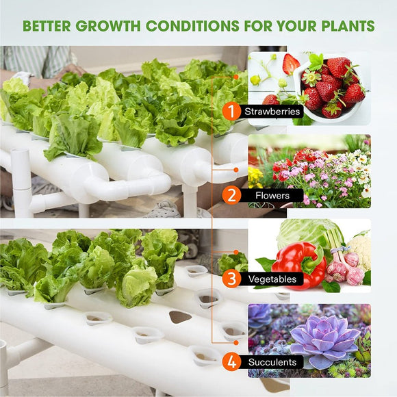 36 Sites Hydroponic Grow Tool Kits Vegetable Garden System 220V Water Pump - RnR Galore