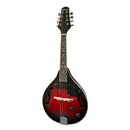 Karrera 8-String Electric Mandolin-1