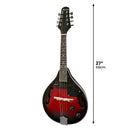 Karrera 8-String Electric Mandolin-3
