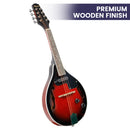 Karrera 8-String Electric Mandolin-4