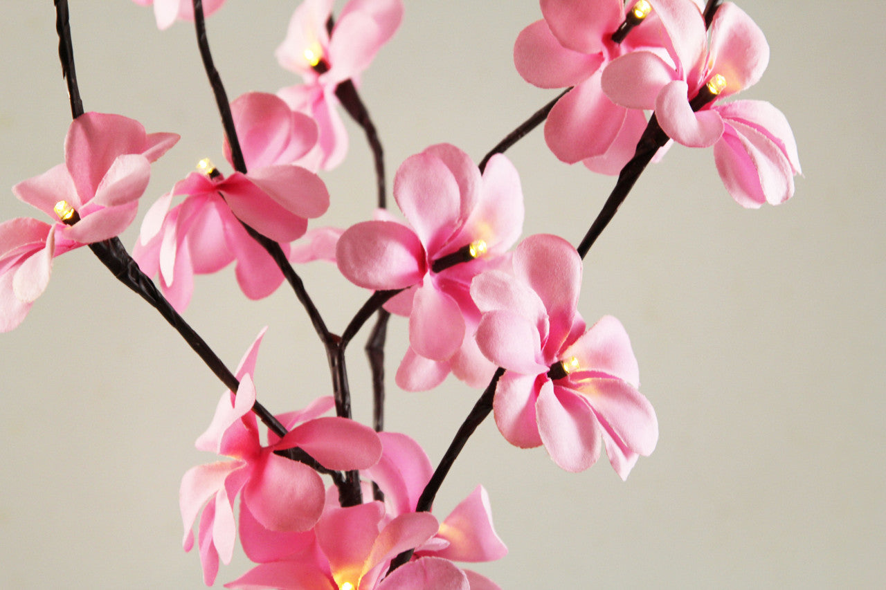 1 Set of 50cm H 20 LED Pink Frangipani Tree Branch Stem Fairy Light Wedding Event Party Function Table Vase Centrepiece Decoration Girl Bedroom - 0