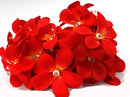 1 Set of 20 LED Deep Red Frangipani Flower Battery String Lights Christmas Gift Home Wedding Party Decoration Outdoor Table Garland Wreath-1