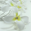 1 Set of 20 LED White Frangipani Flower Battery String Lights Christmas Gift Home Wedding Beach Party Decoration Outdoor Table Centrepiece-7