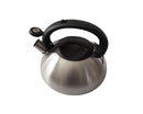 3L Matte Stainless Steel Whistling Kettle-2