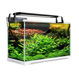 Aquarium Starfire Glass Fish Tank Set Filter Pump 39L - RnR Galore