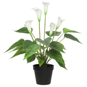 Artificial Flowering White Peace Lily / Calla Lily Plant 50cm - RnR Galore