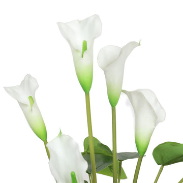 Artificial Flowering White Peace Lily / Calla Lily Plant 50cm - RnR Galore