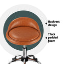 Artiss Salon Stool Swivel Chair Backrest Chairs - RnR Galore