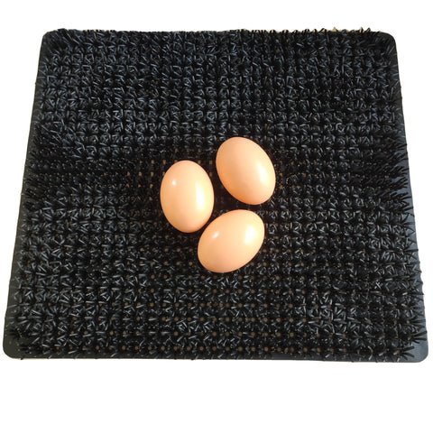 Cheeky Chooka Nesting Box Egg Mat - RnR Galore
