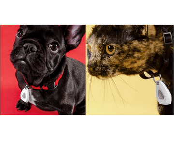 Mitey Tick Off For Pets Electronic Tick Repeller - RnR Galore