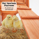 Rabbit Hutch Chicken Coop 204 x 45 x 85cm 2 Storey Cage Mansion - RnR Galore