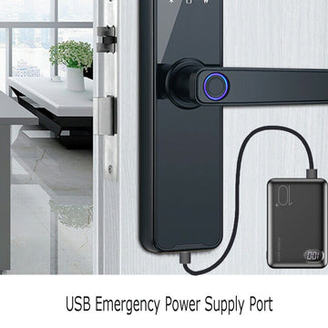 Tuya Home WIFI Smart Door Lock Biometric Fingerprint Smart Card Password Key USB - RnR Galore