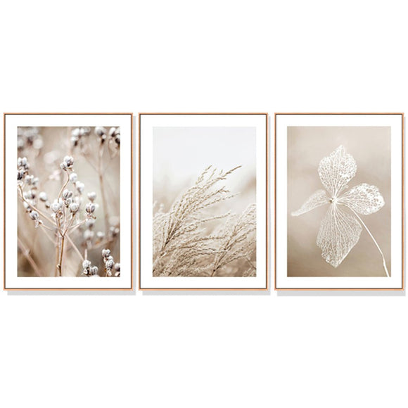 Wall Art 40cmx60cm Dried Flower 3 Sets Wood Frame Canvas - RnR Galore