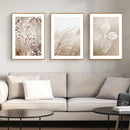 Wall Art 40cmx60cm Dried Flower 3 Sets Wood Frame Canvas - RnR Galore